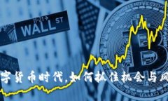 虚拟币EC：在数字货币时代，如何抓住机会与风险