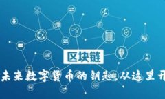 LYM虚拟币：掌握未来数字货币的钥匙，从这里开