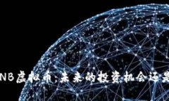 深入解析HNB虚拟币：未来的投资机会还是昙花一