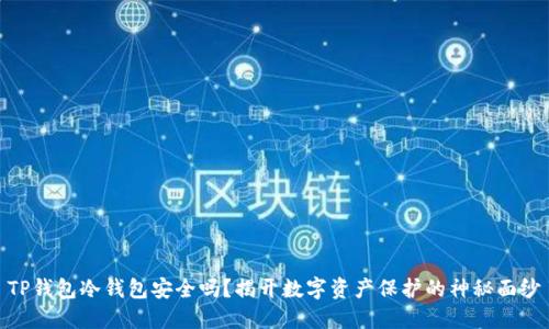 TP钱包冷钱包安全吗？揭开数字资产保护的神秘面纱