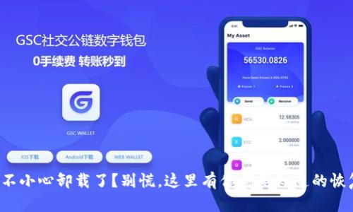 TP钱包不小心卸载了？别慌，这里有你需要知道的恢复秘籍！