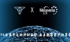 揭开TPB交易平台的神秘面纱：未来数字资产的革