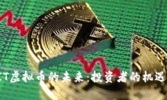 探索BIT虚拟币的未来：投资者的机遇与挑战