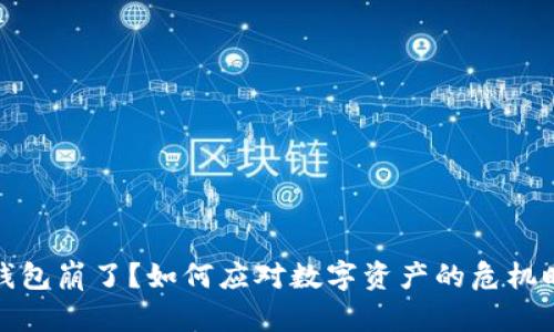 TP钱包崩了?如何应对数字资产的危机时刻