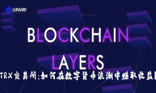 TRX交易所：如何在数字货币浪潮中赚取收益？