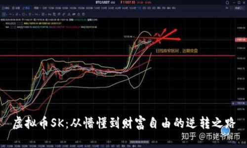 虚拟币SK:从懵懂到财富自由的逆转之路