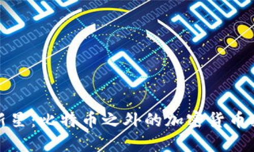 虚拟币新星:比特币之外的加密货币投资机会
