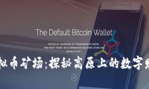 青海虚拟币矿场:探秘高原上的数字财富乐园