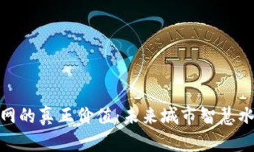探索TP管网的真正价值:未来城市智慧水务的关键