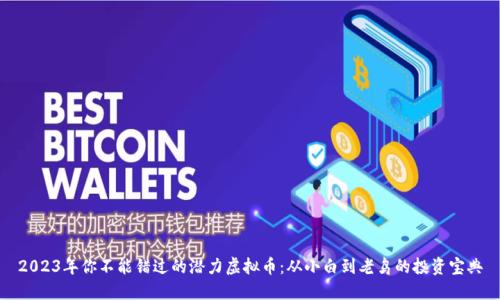 2023年你不能错过的潜力虚拟币：从小白到老鸟的投资宝典