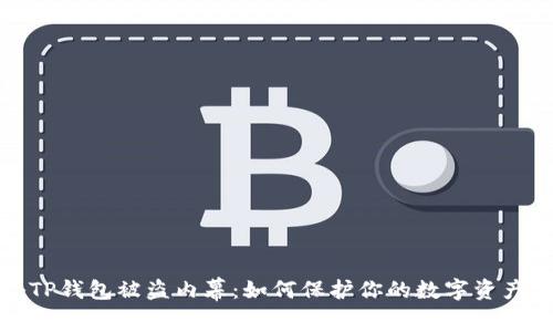 揭秘TP钱包被盗内幕：如何保护你的数字资产安全