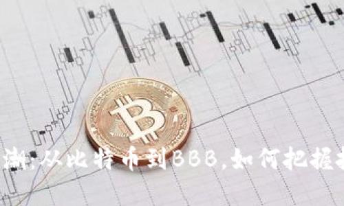 “虚拟币风潮:从比特币到BBB,如何把握投资机会?”