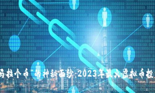 揭开“马拉个币”的神秘面纱:2023年最火虚拟币投资攻略
