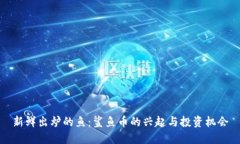 新鲜出炉的鱼：鲨鱼币的兴起与投资机会