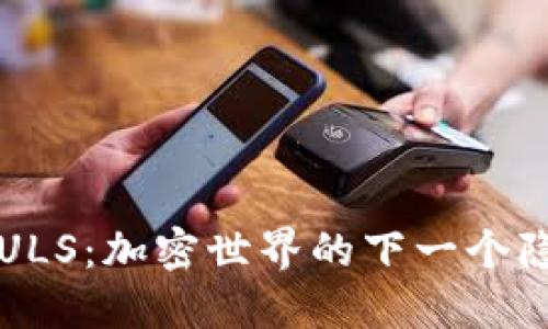 “虚拟币PULS：加密世界的下一个隐形冠军？”