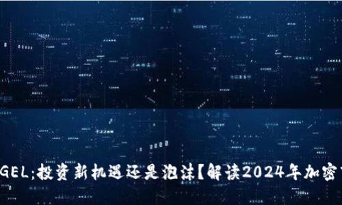 虚拟币 GEL：投资新机遇还是泡沫？解读2024年加密市场动向