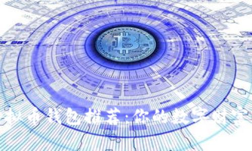 最强虚拟币钱包推荐：你的数字财富守护神