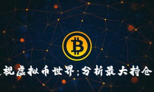 如何透视虚拟币世界:分析最大持仓的秘密