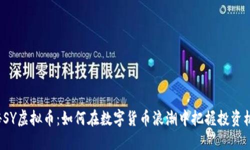 揭秘SY虚拟币:如何在数字货币浪潮中把握投资机会?