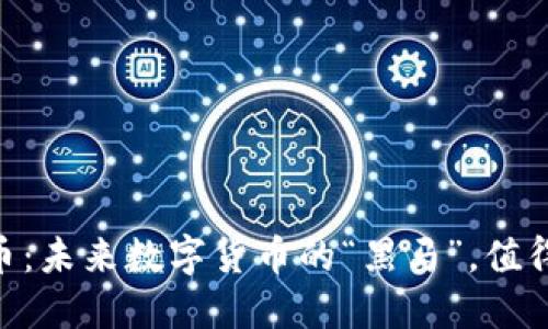 SM虚拟币:未来数字货币的“黑马”,值得投资吗?
