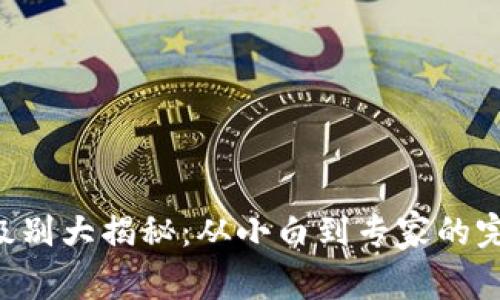 虚拟币级别大揭秘:从小白到专家的完美指南!