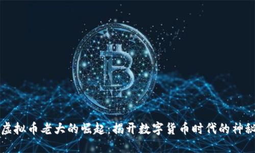 中国虚拟币老大的崛起：揭开数字货币时代的神秘面纱