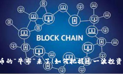 虚拟币的“牛市”来了!如何把握这一波投资热潮?