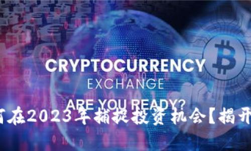 虚拟币崛起:如何在2023年捕捉投资机会?揭开数字资产的秘密