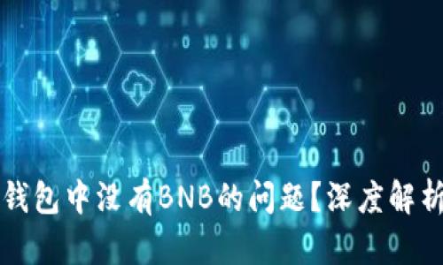 如何解决TP钱包中没有BNB的问题?深度解析与解决方案