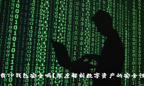 官方下载TP钱包安全吗？深度解析数字资产的安全性与风险