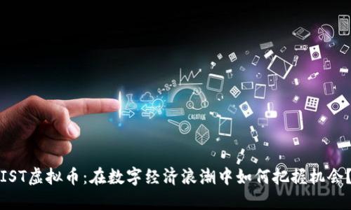 IST虚拟币：在数字经济浪潮中如何把握机会？