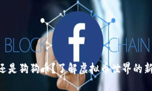 比特币、以太坊，还是狗狗币？了解虚拟币世界的新潮流与投资机会