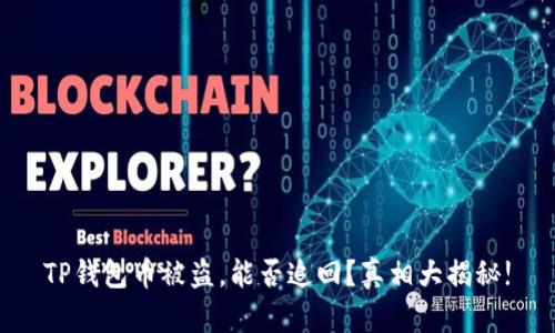 TP钱包币被盗，能否追回？真相大揭秘!