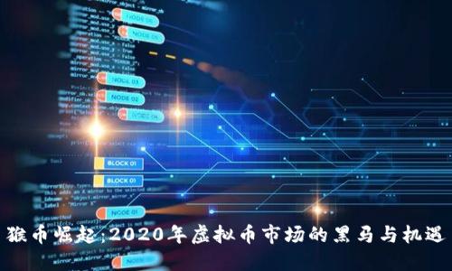 猴币崛起：2020年虚拟币市场的黑马与机遇