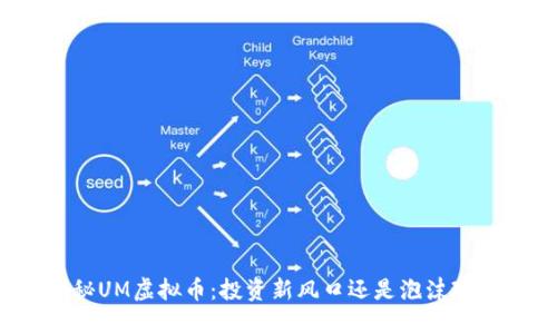 揭秘UM虚拟币：投资新风口还是泡沫现象？