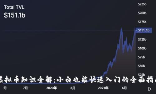 虚拟币知识全解：小白也能快速入门的全面指南
