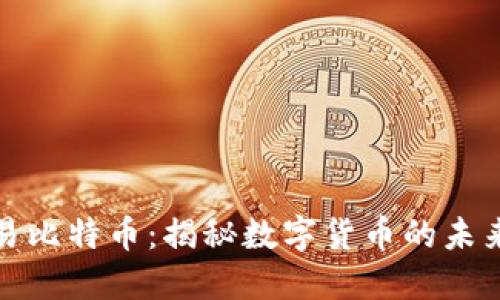 虚拟交易比特币：揭秘数字货币的未来与风险