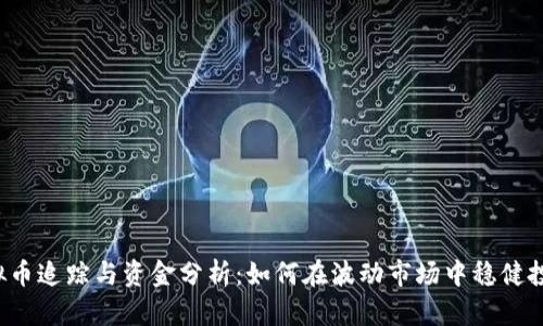 虚拟币追踪与资金分析:如何在波动市场中稳健投资?