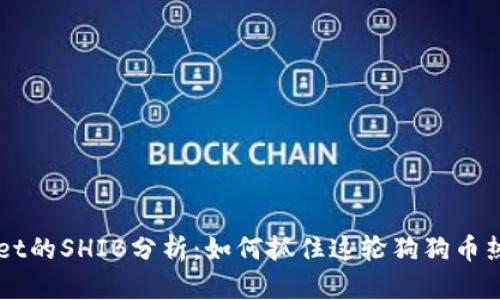 TokenPocket的SHIB分析:如何抓住这轮狗狗币热潮的机会?