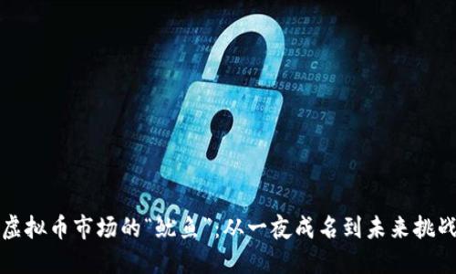 虚拟币市场的“鱿鱼”:从一夜成名到未来挑战