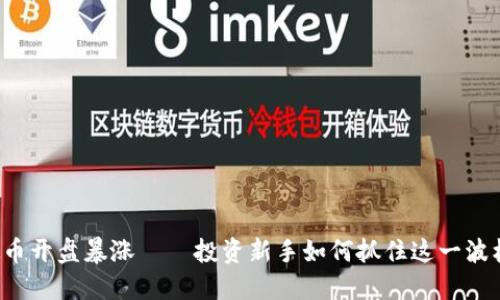 虚拟币开盘暴涨——投资新手如何抓住这一波机会?