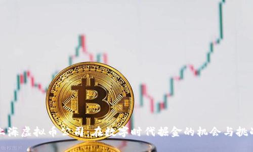 上海虚拟币公司:在数字时代掘金的机会与挑战
