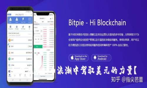 如何在虚拟币浪潮中驾驭美元的力量?
