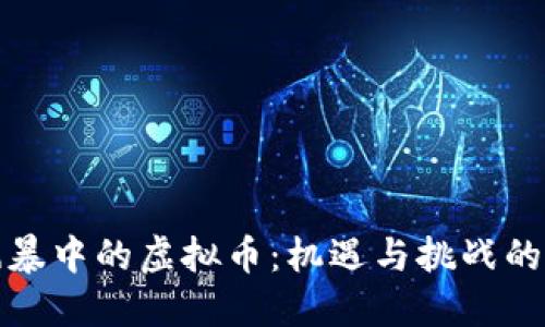 海南风暴中的虚拟币:机遇与挑战的双刃剑