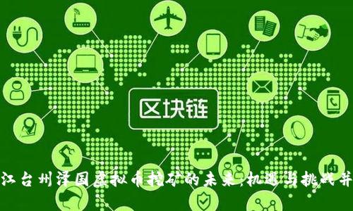 浙江台州泽国虚拟币挖矿的未来:机遇与挑战并存