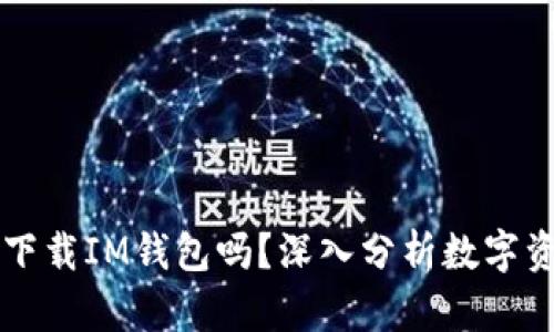 有TP钱包还用下载IM钱包吗?深入分析数字资产管理的选择