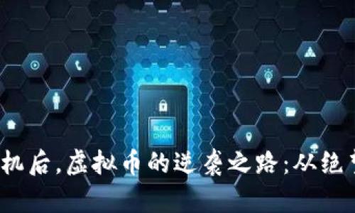 2008年金融危机后，虚拟币的逆袭之路：从绝望到希望的转变