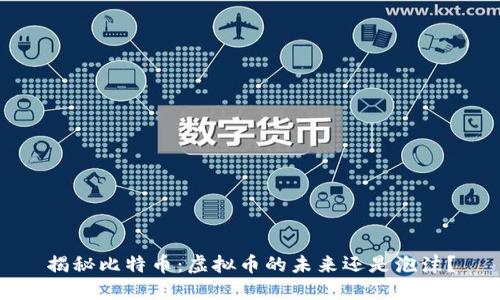 揭秘比特币：虚拟币的未来还是泡沫？