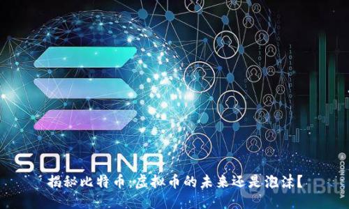 揭秘比特币：虚拟币的未来还是泡沫？