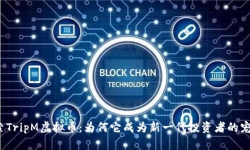 探索TripM虚拟币：为何它成为新一代投资者的宠儿？